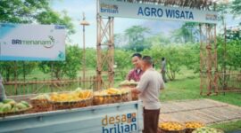 PT Bank Rakyat Indonesia (Persero) Tbk kembali membuka pendaftaran Program Desa BRILiaN 2025. (Dok. BRI)